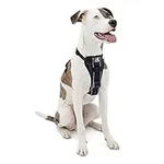 Kurgo Dog Harness | Pet Walking Har