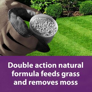 Flower Power Moss Remover & Lawn Feeder, Organic High Potash, 5kg
