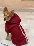 Petsnugs Maroon Raincoat for Dogs & Cats, 100% Waterproof Fabric, Designer, Easy to Wear for Dogs & Cats, for Rainy Weather, Labrador Shih Tzu Golden Retriever Pomeranian German Shephard (L)