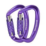 BRAVESHINE 2 Pack Carabiner Clip Heavy Duty, 12KN Auto Locking Carabiner, Twist Lock Carabiner Keyring, D Clips Hook for Hiking, Camping, Hammock, Dog Lead, Swing