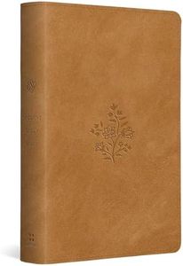 ESV Studen