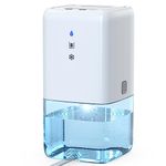 Dehumidifier For Home 700ml