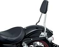 Kuryakyn 6583 Motorcycle Accessory: