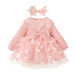 Newborn Infant Baby Girl Clothes Ruffle Long Sleeve Solid Color Top Tutu Skirt Princess Dress Set Fall Outfits with Headband Pink 2 12-18 Months