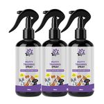 Apna Pets Potty Training Spray, Positively Train Pets Where to Potty for Dogs & Cats -600ML