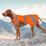 Orange Dog Vest High Visibility Saf