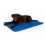 K&H Pet Products Cooling Bed for Dogs and Cats, Blue, Large