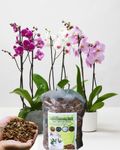 4 in One Orchid Potting Mix. Soil Less, Ready to Use. Added Coco Husk, Pure Pine Bark, Charcole and Perlite. (5Lit)