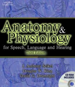 Anatomy an