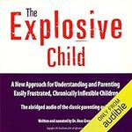 The Explosive Child: A New Approach