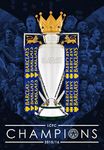 Leicester City Football Club: Premier League Champions - 2015/16 Official Season Review [DVD]