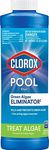 Clorox® Pool&Spa™ Swimming Pool Alg