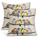 Oil Painted Bird Pillow Covers 20X20 Inch Rustic Birds Tree Branches Decorative Pillow Cases Wildlife Spring Summer Cotton Linen Throw Pillows Set of 2 Home Decor For Sofa Couch Bedroom Outdoor