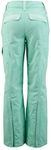 Spyder Active Sports Women's Me Gore-tex Ski Pant, Vintage, 10