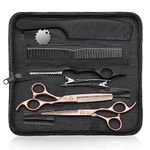 JASON Hairdressing Scissors Set Professional - Hair Scissors Set (Hair Cutting Scissors&Thinning Scissors) 6.5" Hair Scissors Hairdressing Scissors for Hairdresser/Beginner Hairdresser Set, Rose Gold