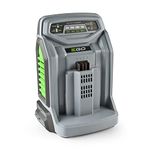 EGO Power+ 56-Volt Lithium-ion Rapid Charger for EGO Power+ Equipment