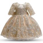 TTYAOVO Baby Girl Flower Lace Pageant Princess Party Tutu Dress Size 80(6-12 Months,2031 Champagne)