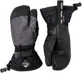Hestra Gauntlet CZone Junior Glove 