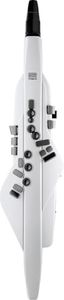 Roland AE-