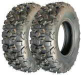 GarveeTech ATV Tire 25x8-12 ATV/UTV Tires 6PR All-Terrain Tires 2Pack Tubeless DAV101