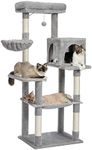 PAWZ Road Cat Tree for Large Cats w