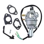 WOTIAN Carburetor P28-4-H Compatible with Champion Dual Fuel Generator Carb Part#47.131000.25