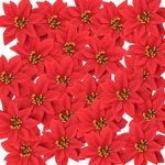 TIED RIBBONS Christmas Poinsettias Artificial Flowers Head Large (24 Pcs, Velvet) for Decoration Tree Garland Wreath Table Cake Decor - Red Xmas Flower - Christmas Decorations Items for Home