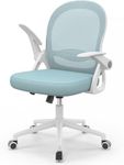 naspaluro Home Office Chair Ergonom
