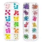 3D Nail Dried Flowers Sticker Set C