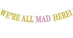 We're all Mad Here Banner, We Can Bearly Wait/Welcome Baby Girl Bunting Sign,Baby Birthday/Baby Shower/Gender Reveal/Pennant Party Decoration Supplies, Housewarming Gifts