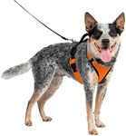 PetSafe EasySport Dog Harness – Adjustable, Padded Dog Harness with Control Handle and Reflective Piping – Medium, Orange