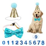 Dog Birthday Hat, Pet Birthday Hat Kit with Bow Tie Collar and Blue Number, Reusable Dog Cats Birthday Cap for Pet Puppy Cat Birthday Party Decorations, Pet Costumes Headwear Accessories (Blue)