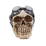 THE DDS STORE Aquarium Decorative Skull Statue Resin Home Decor Accessories Halloween Horror Mechanic Head Props Fireplace Loft Crafts Gift Skull Statue Size 13 x12cm