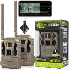 TACTACAM R