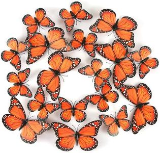 24 Piezas 