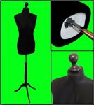 BLACK Size 10-12 Female Dressmaking Mannequin Tailors Bust Dressmakers Display Dummy on a Black Stand