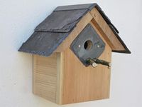 Bird House Nesting Bird Box - 25mm Hole - Blue tits