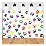 Colorful Paw Puppy Prints Photograp