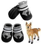 Dog Footwear