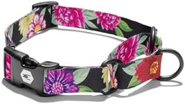 Wolfgang Heavy Duty Martingale Dog Collar with Quick Release Nylon Buckle for Walking & Training, DarkFloral Print, Medium