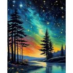 Starry Sky Paint by Numbers Adult Kit-Adult Paint by Numbers Starry Night,Abstract Landscape Paint by Number Perfect for Home Wall Decor 16x20inch(40x50cm)