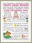 Personalised Word Art A4 "On The Day You Were Born" Girls or Boys Nursery New Born Baby Christening Birthday Memories Print Gift Keepsake Sold As Print Only or in a Choice of Frames