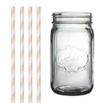 Dress My Cupcake DMC34964 Clear Vintage Jardin Mason Jar with Ivory Striped Straws, 32-Ounce