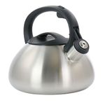 Mr. Coffee 128621.01 Harpwell Whistling Tea Kettle, Brushed Stainless Steel