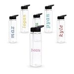 24 oz Clear Water Bottles with Straw, 6 Pack Bulk Reusable Sports Water Bottle with Handle, Wide Mouth & Portable for Travel Gym Cycling Hiking Camping, for Personalized DIY Teacher Nurse Gift