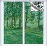 RTTECH Window Film Privacy One Way Mirror Window Tint for Home Sun UV Blocking Heat Control Daytime Privacy Solar Film Static Cling for Residential Office 35.4x78.7 Inches Green-Silver (90 * 200cm)