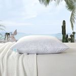 MARTHA STEWART 2 Pack 20'' x20' ' Throw Insert for Couch and Bed Decorative Pillows Covers-Deco Size, Square, White 2 Count