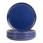 Double Line 10.5" Dinner Plate, Set