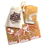 Hillcrest Games Dino Bones - Dinosaur Memory Game