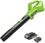 Greenworks Cordless Leaf Blower, Lightweight Axial Battery Leaf Blower 145km/h 9.08m3/min with 24V Battery & Charger, Electric Leaf Blower Cordless Garden Blower, 3 Year Guarantee G24ABIIK2